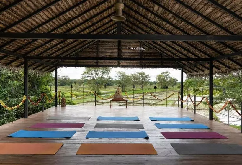 Lomakeskus Ayurvie Sigiriya   Ayurvedic Retreat By Thema Collection