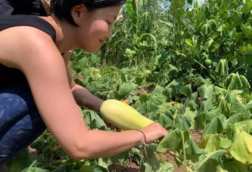 Lomakeskus Ayurvie Sigiriya   Ayurvedic Retreat By Thema Collection