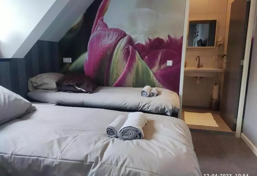 Hotelli House Of Tulips