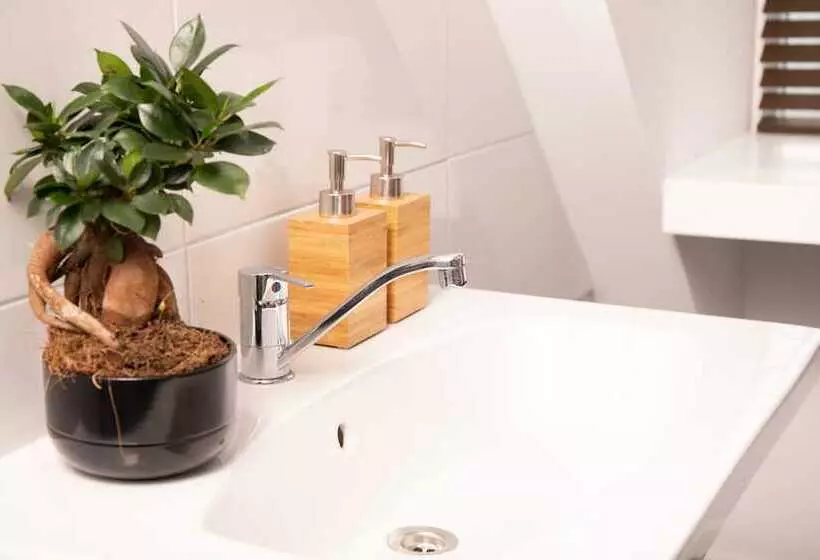 Hotelli House Of Tulips