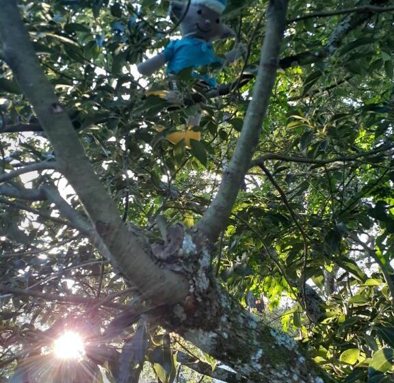 بنسيون Mini House Park