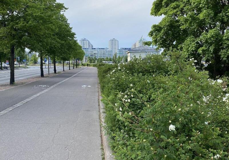 בית מלון כפרי Inn Tourist Hostel