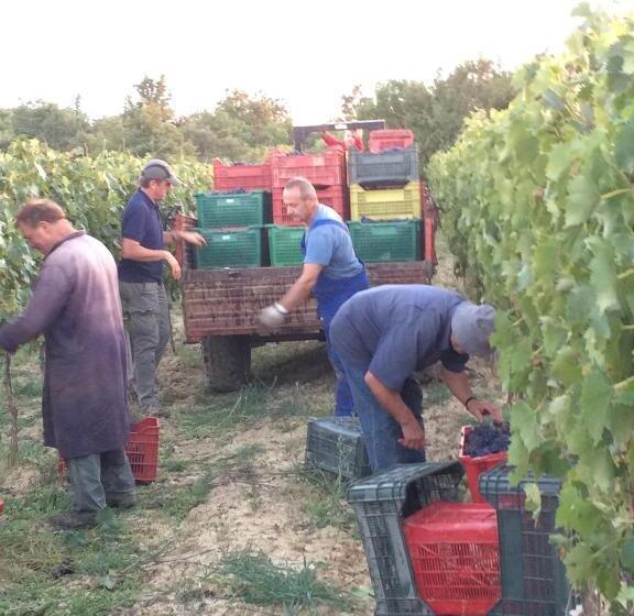 Agriturismo Podere San Gregorio