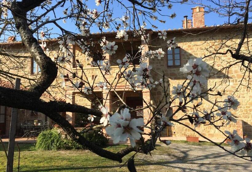 Agriturismo Podere San Gregorio