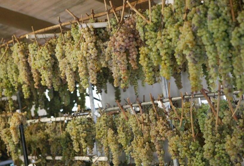 Agriturismo Podere San Gregorio