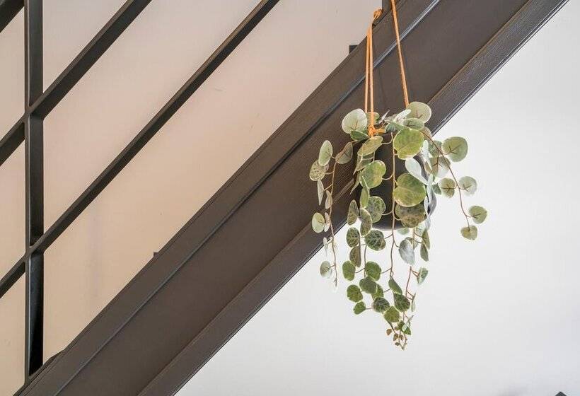 צימר De Hoogmolen   3 Mins From The City Centre