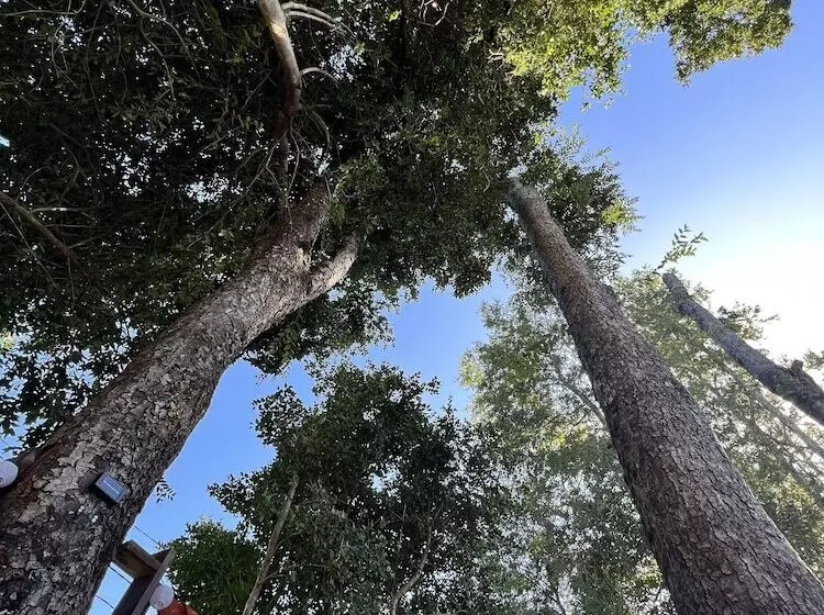 ホテル Cabañas Qatar Pucón