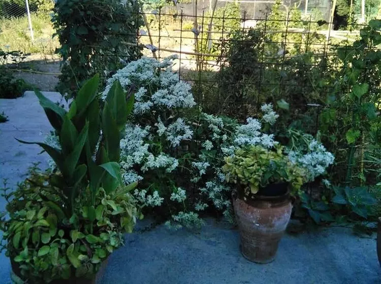 House With 2 Bedrooms In Jaén, With Shared Pool, Enclosed Garden And Wifi