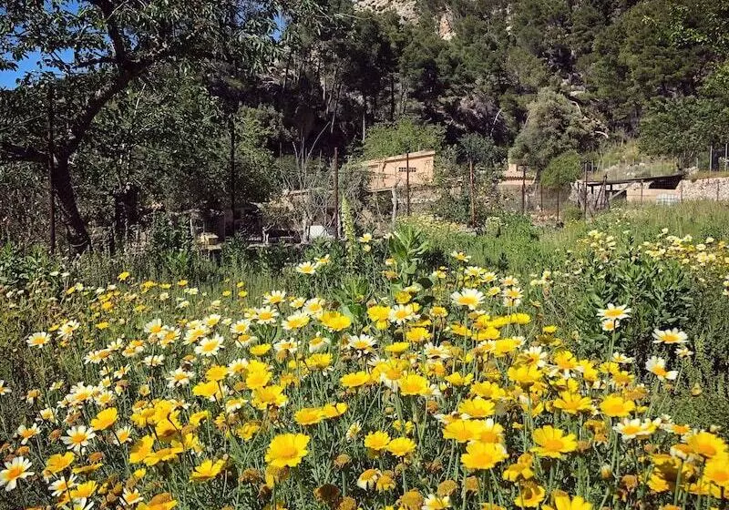 Majatalo Finca Ses Fontanelles