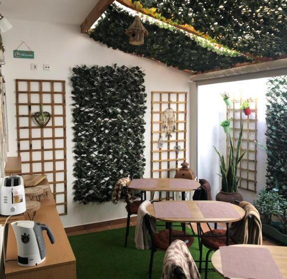 پانسیون Merry S House