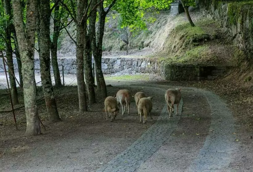 Quinta De Marnotos