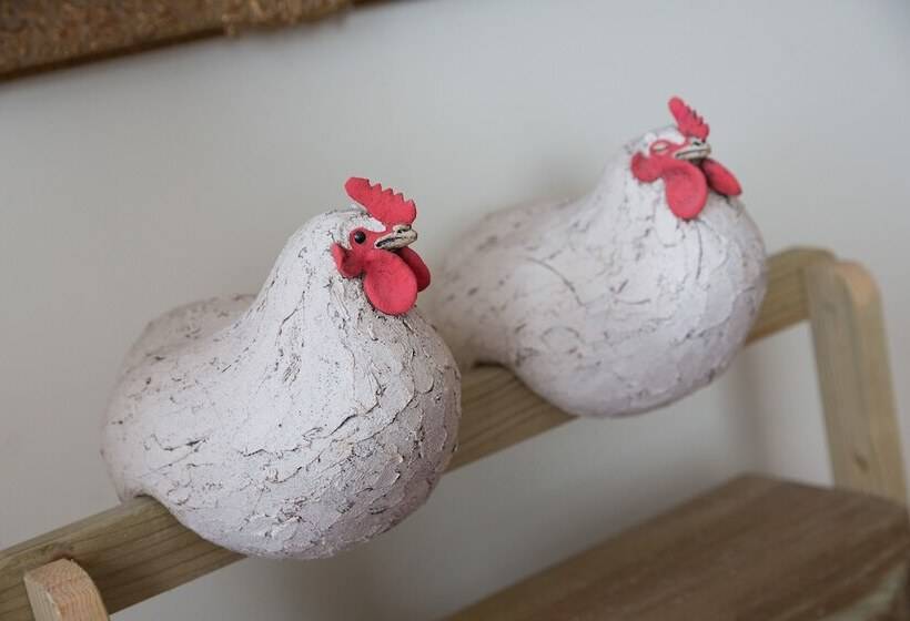 Bed and Breakfast Clarendon