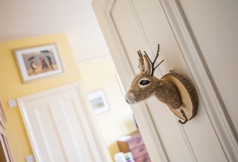 Bed and Breakfast Clarendon