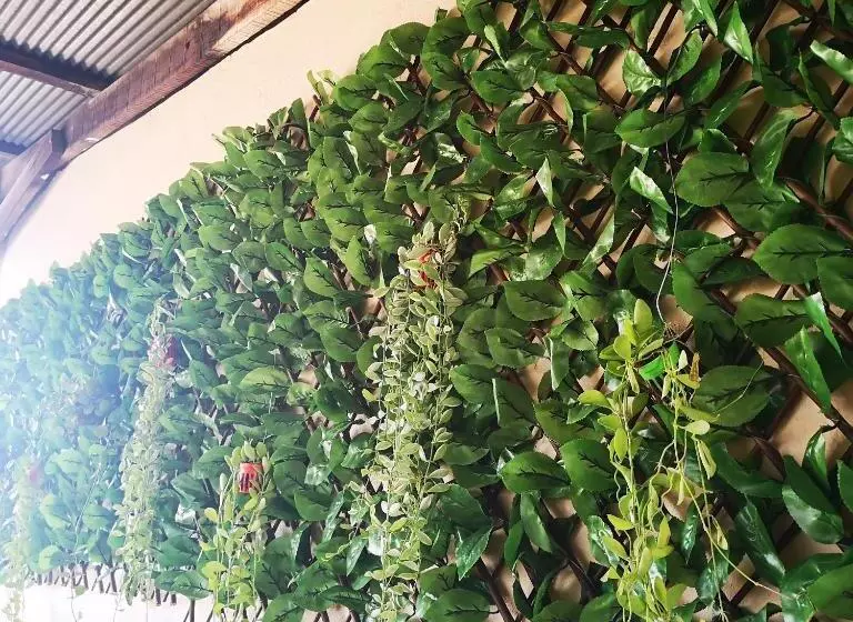 D​ Luck​ Hostel