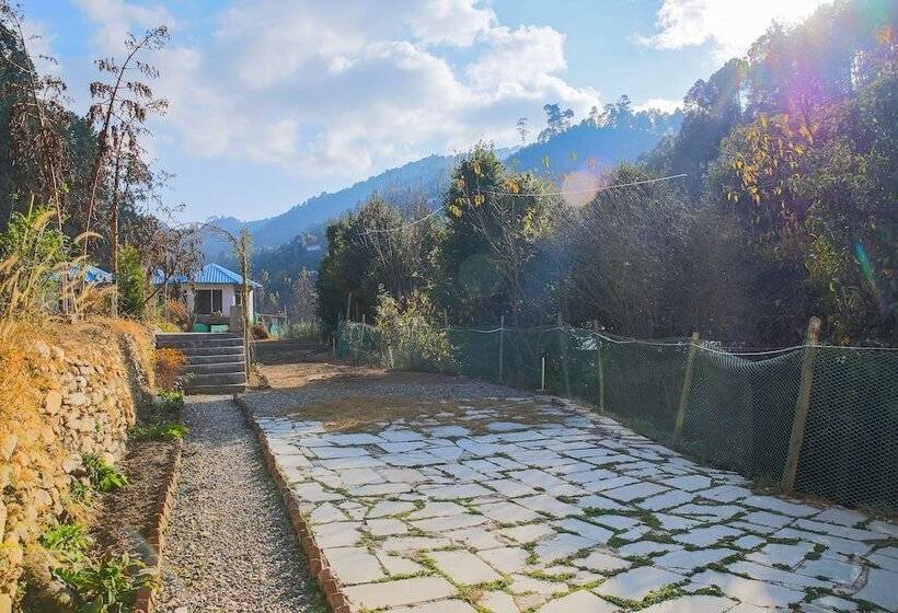 هتل Blossom Bliss Resort