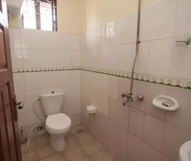 تختخواب و صبحانه Ibizza Inn