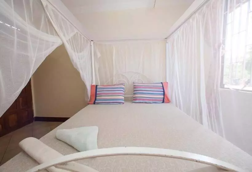 تختخواب و صبحانه Ibizza Inn