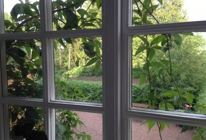 Gamla Skolan B&b