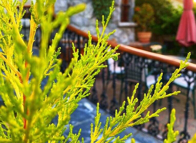 ホテル La Llosa De Sámano