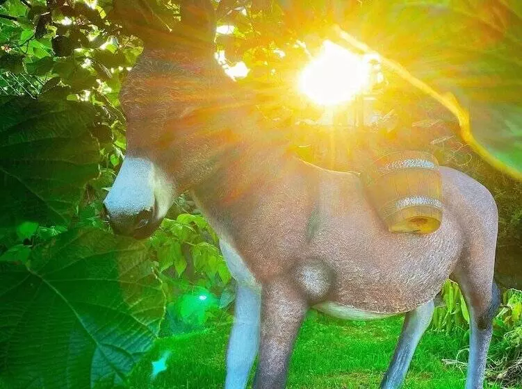 Hotelli La Llosa De Sámano