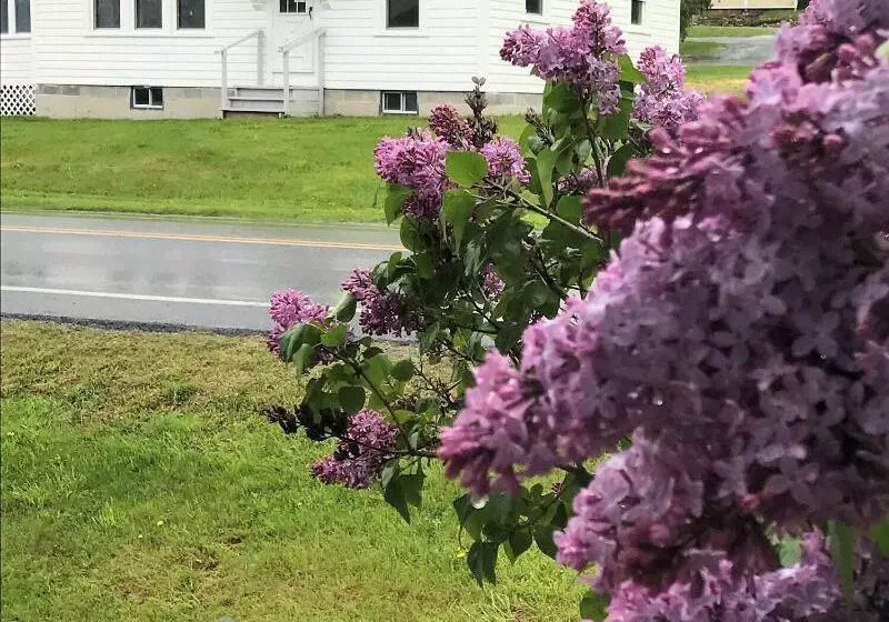 Hotelli Lake Bomoseen Lodge
