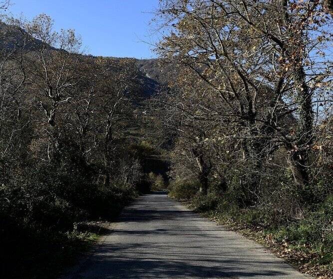 膳宿费 Vila Disha