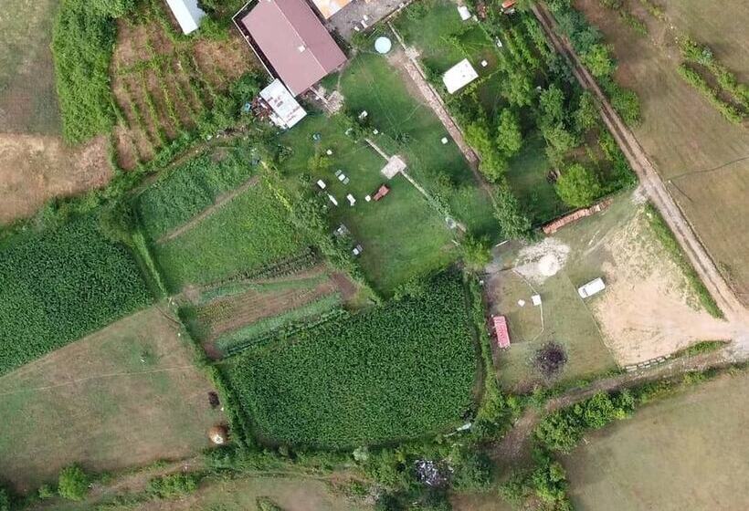 膳宿费 Vila Disha