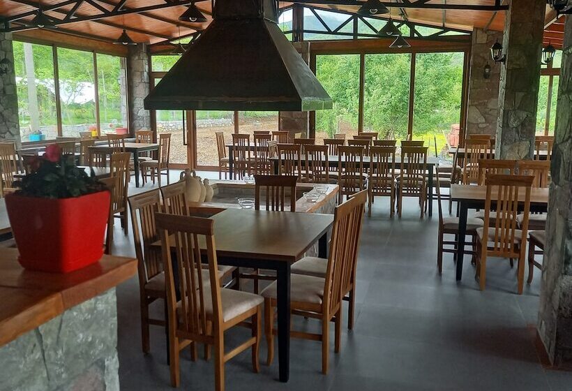 膳宿费 Vila Disha