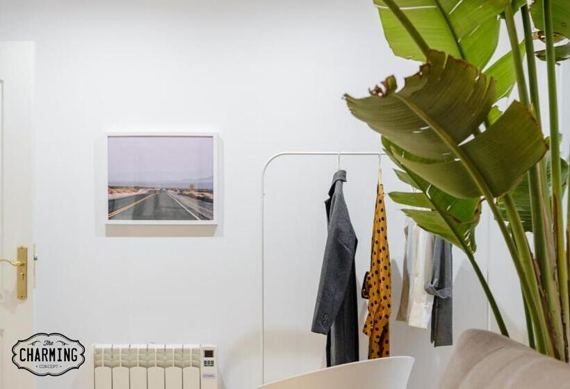 Charming Puerta De Toledo Iv