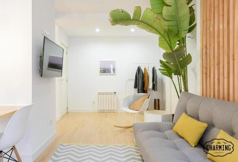 Charming Puerta De Toledo Iv