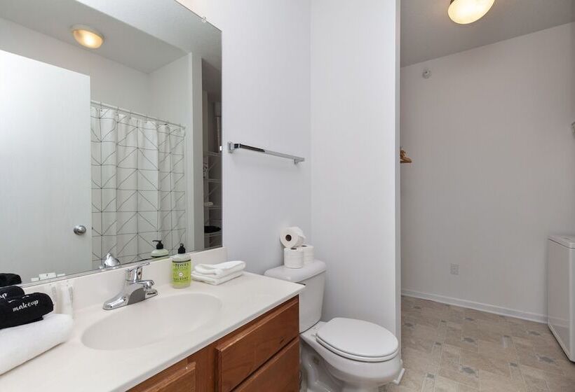 The Modern Flats Of Ames