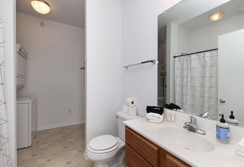 The Modern Flats Of Ames