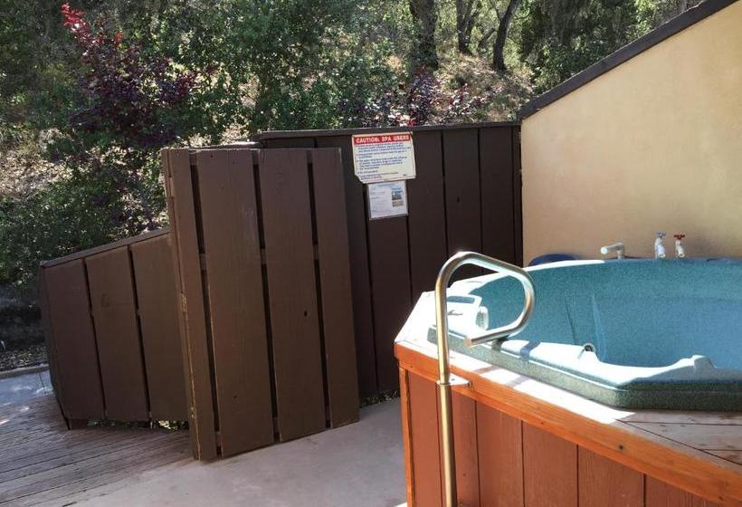 هتل Sycamore Mineral Springs