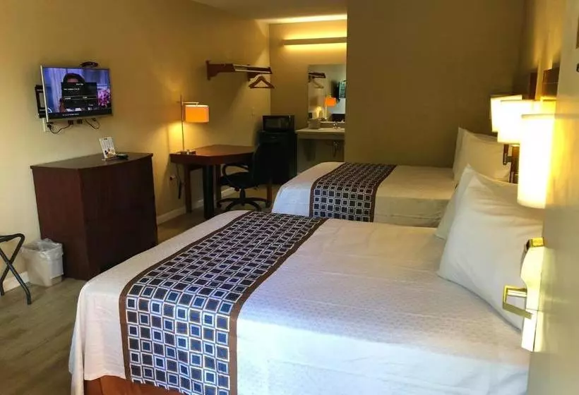 فندق على الطريق Inn Between The Hedges