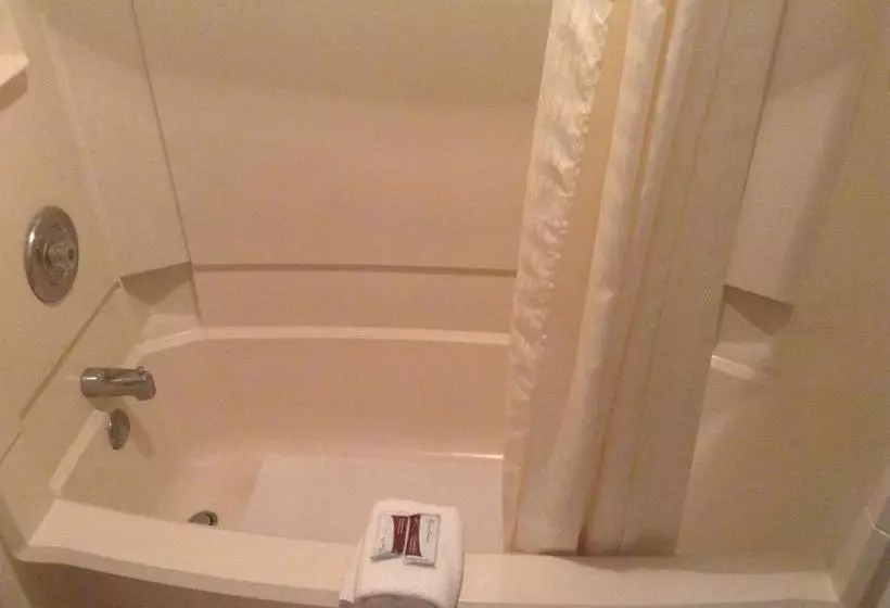 فندق على الطريق Inn Between The Hedges