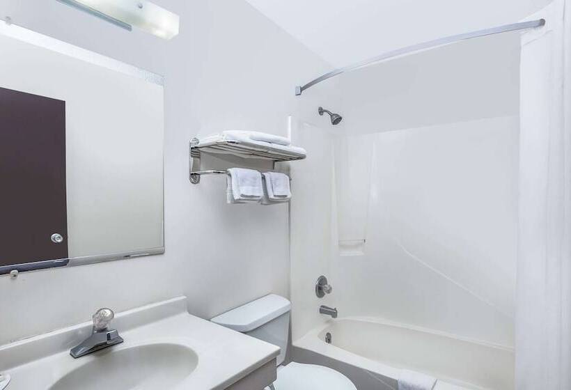 汽车旅馆 Super 8 By Wyndham Columbus