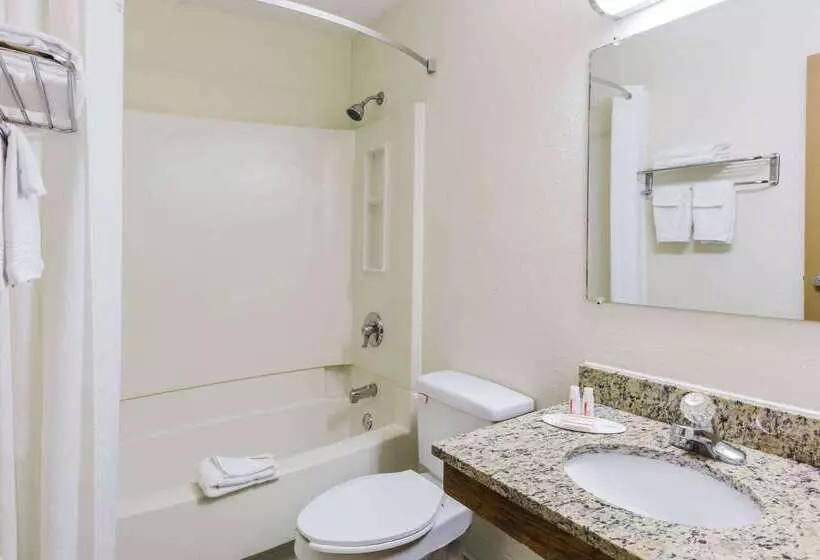 汽车旅馆 Super 8 By Wyndham Stroudsburg