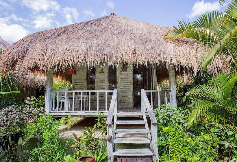 住宿加早餐  Naturale Villas