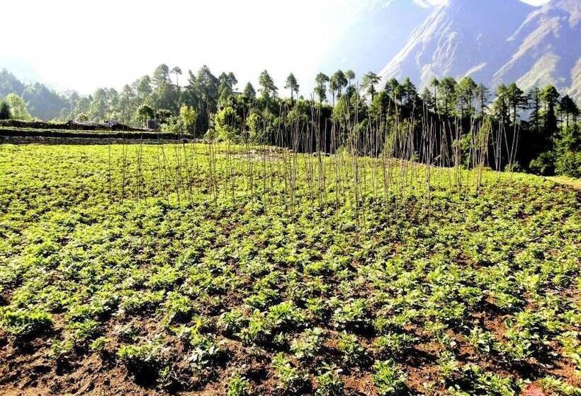 בית מלון כפרי Lukla Airport Resort, Lukla