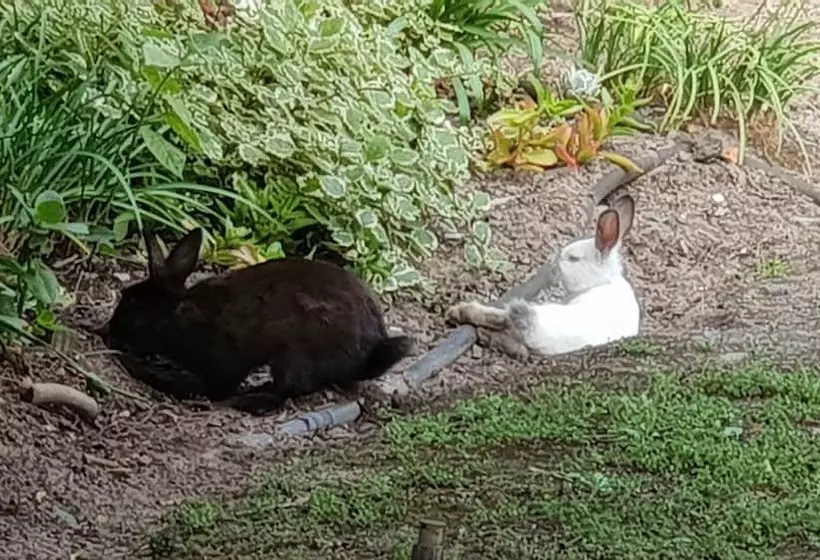 Majatalo Deo Gratia Guest House