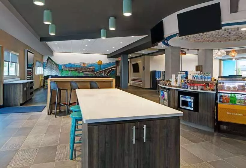 هتل Tru By Hilton Knoxville West Turkey Creek