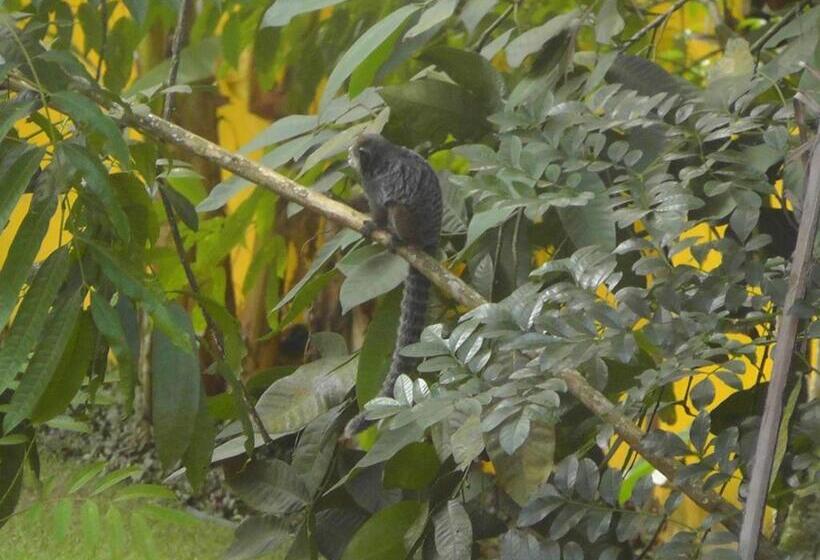 I9 Embaú Flats & Suites