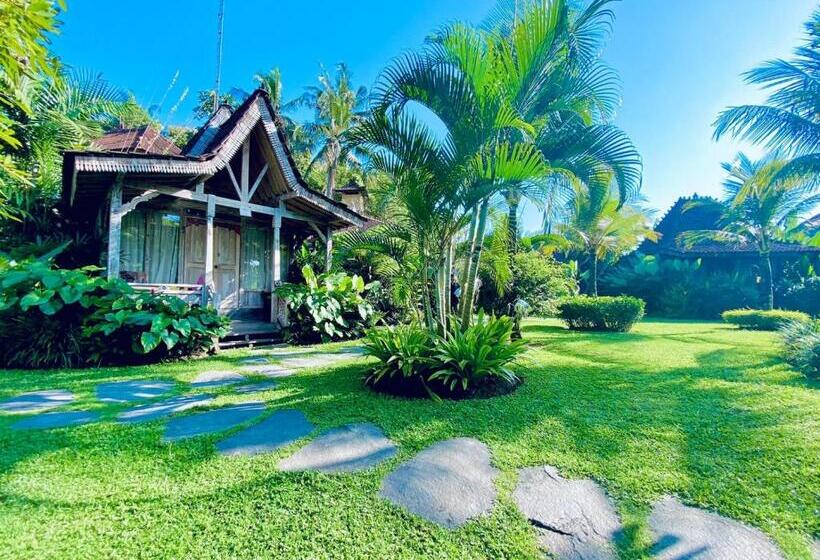 Bed and Breakfast Green Space Villa