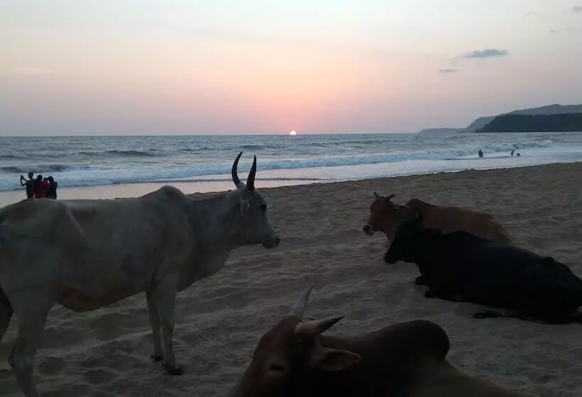 Majatalo Goa Cottages Agonda