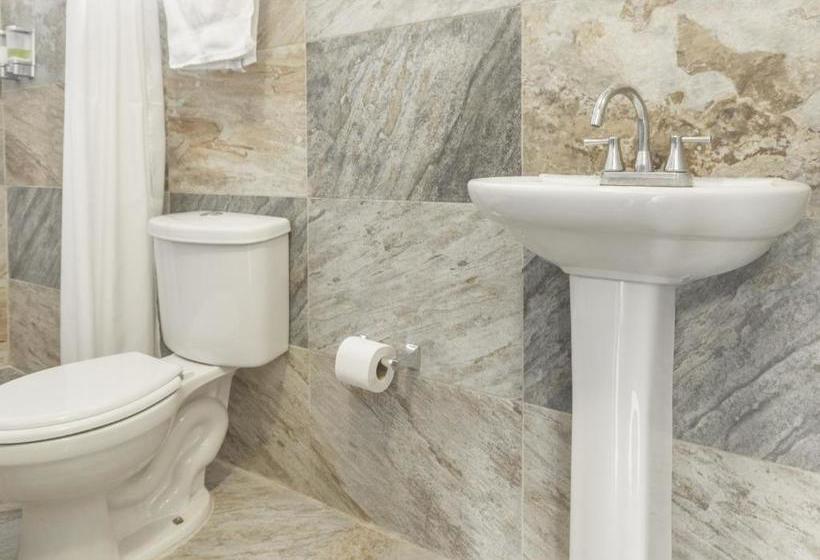 فندق Capital O Ito Lindo & Boutique León