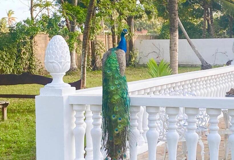 پانسیون Aqualuna Pousada