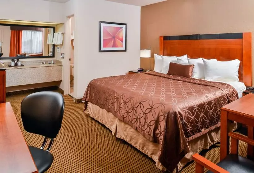 酒店 Best Western Executive Inn