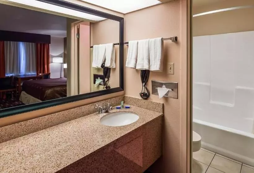 酒店 Best Western Executive Inn