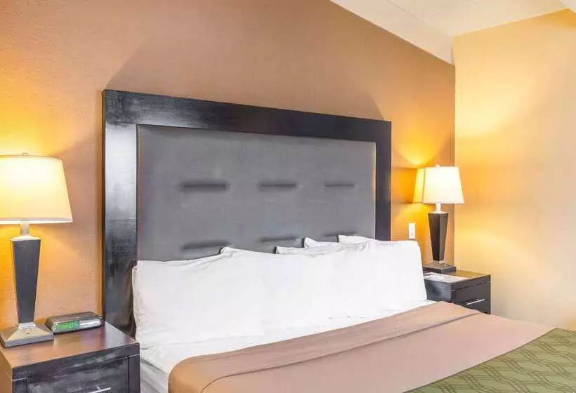 Отель Econo Lodge