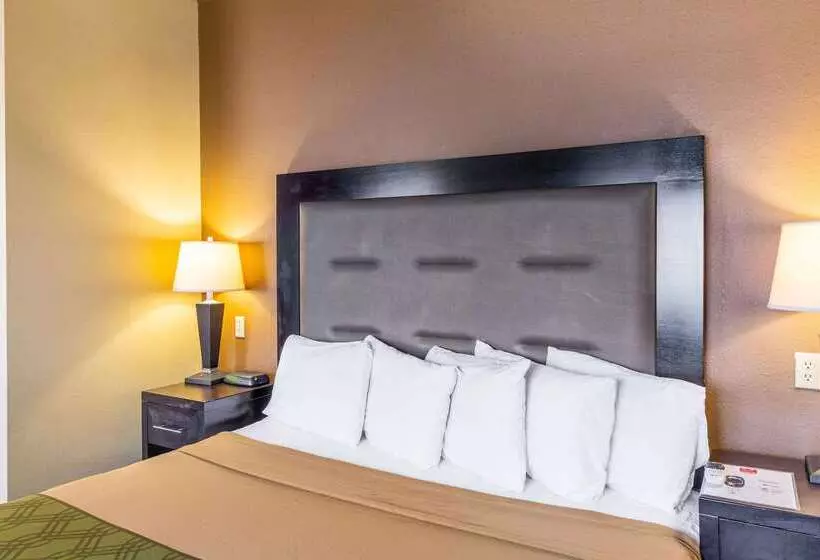 Отель Econo Lodge